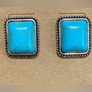 🎉❤️ Lucy Turquoise Silver Earrings
